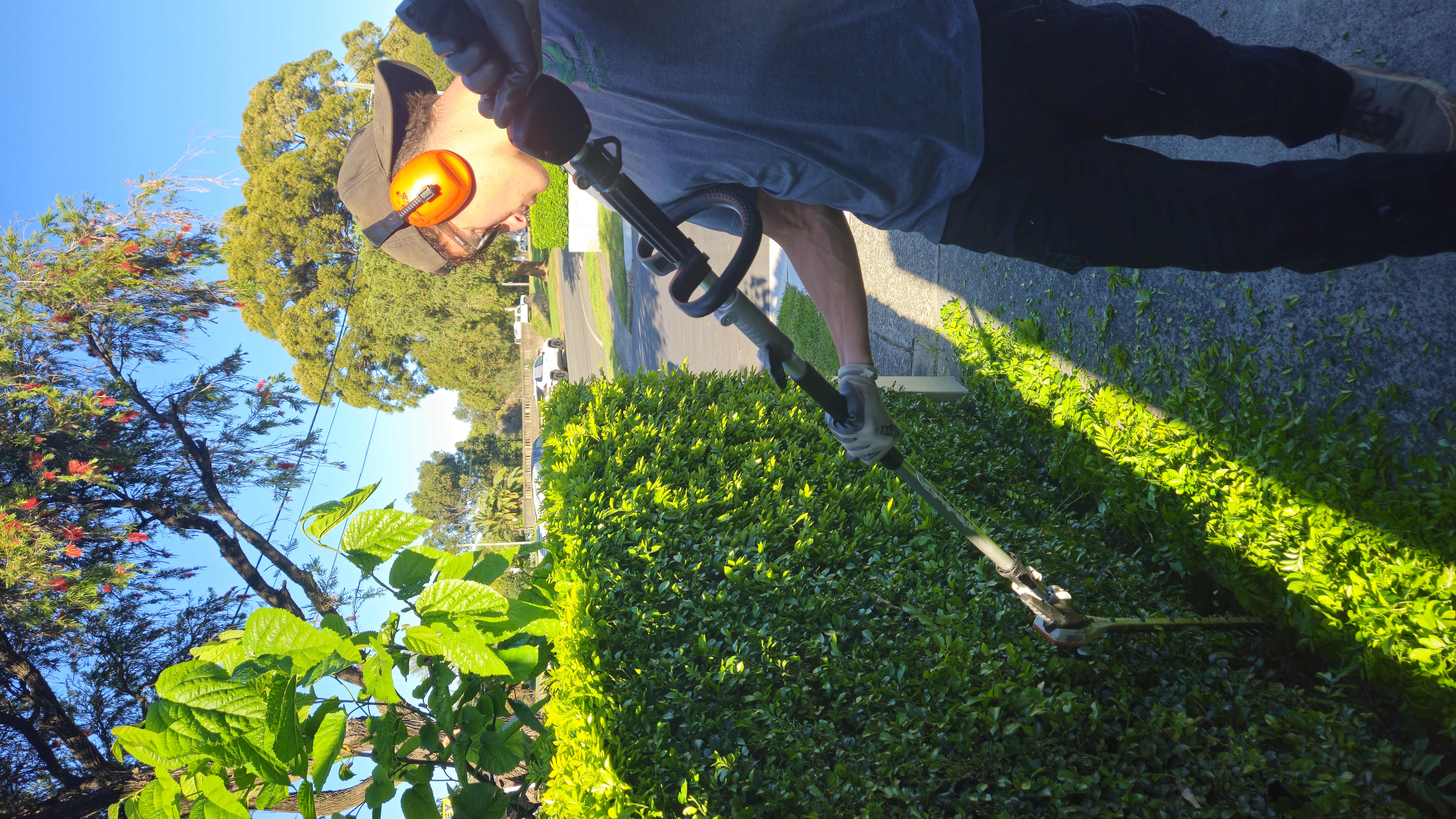 Benji Kerkin — owner of Benji's Gardens, Sydney hedging specialist