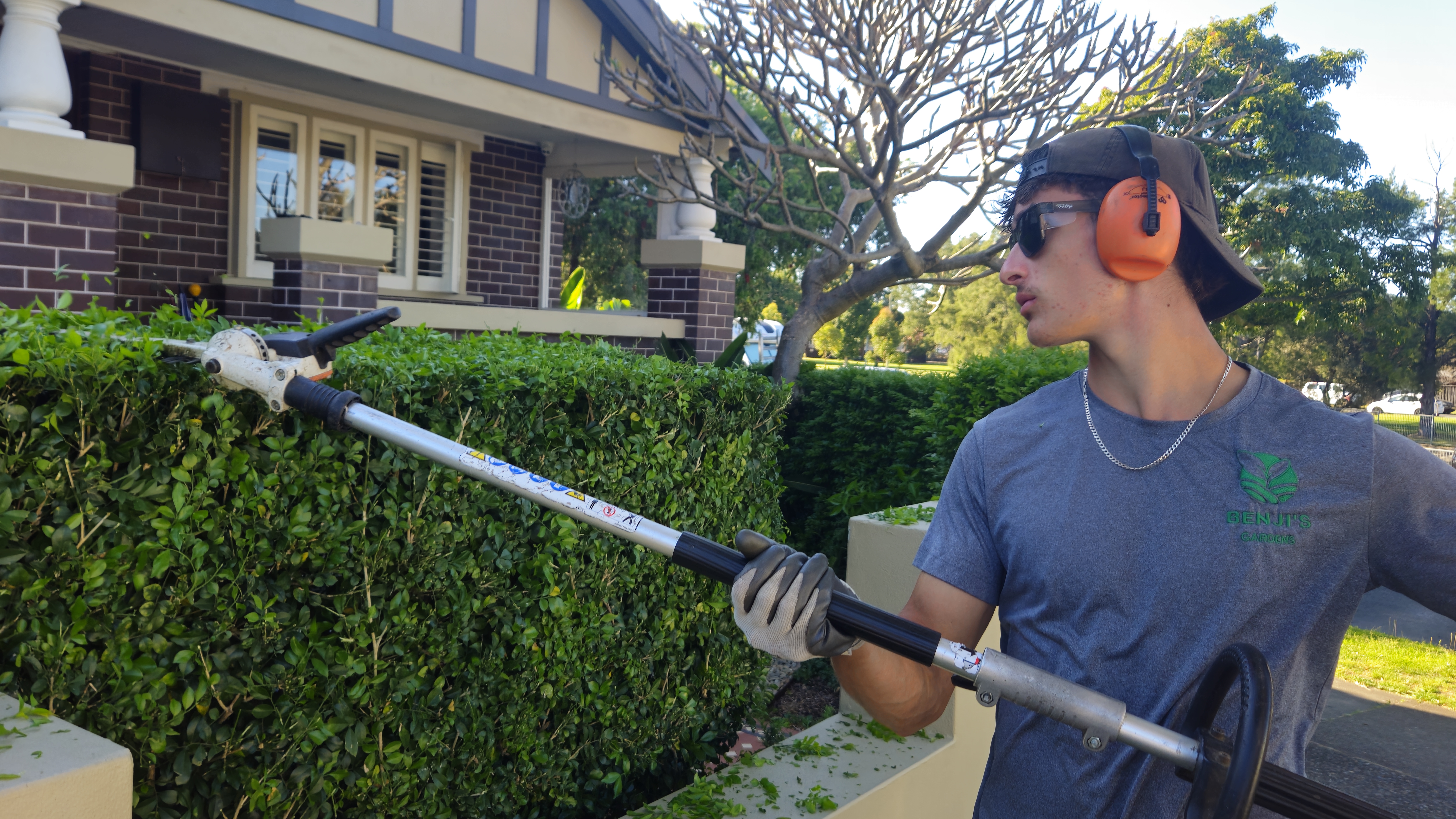 Formal hedge trim at a heritage Federation property — Five Dock, Inner West
