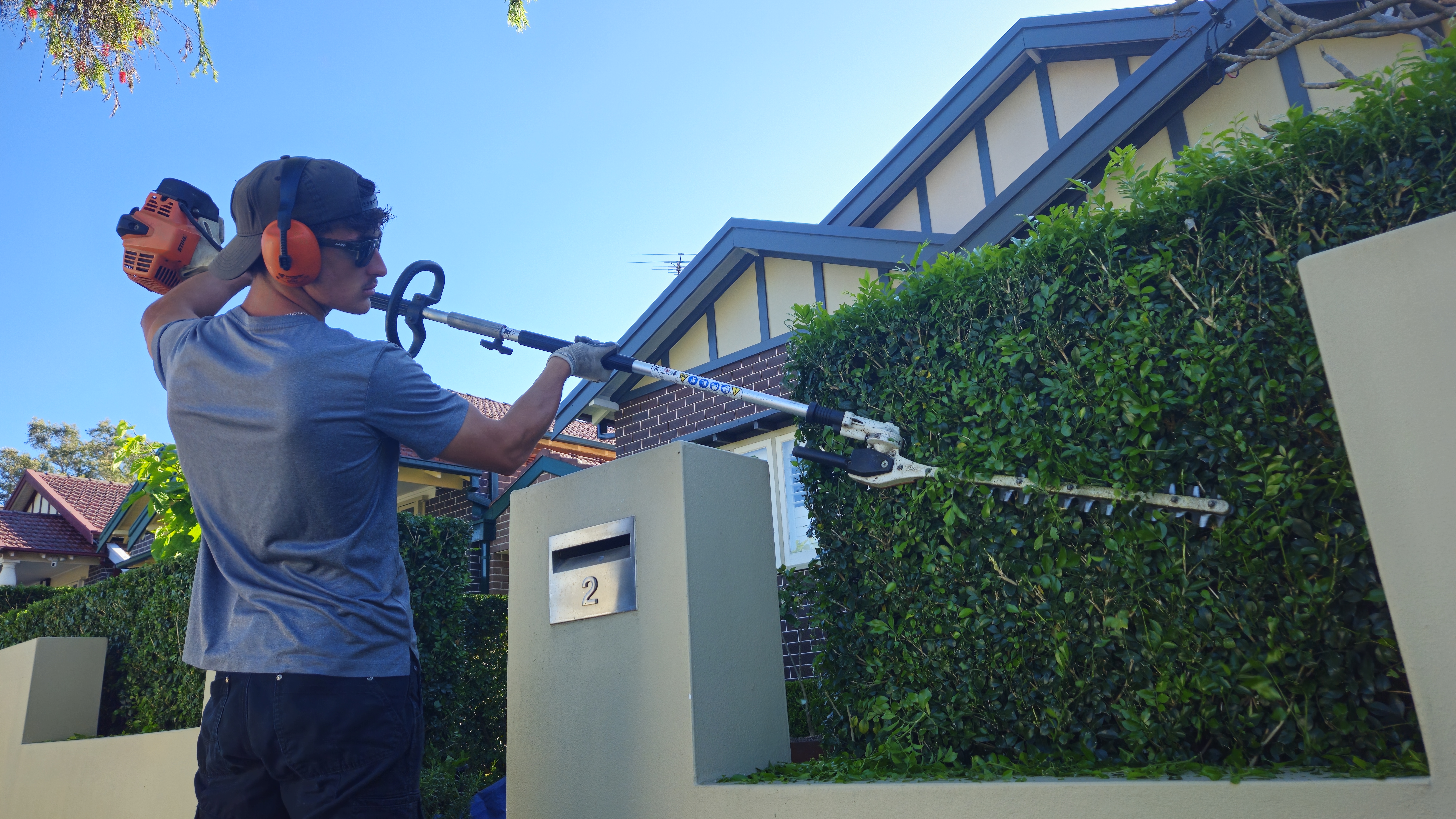 Benji trimming a large formal hedge in Sydney