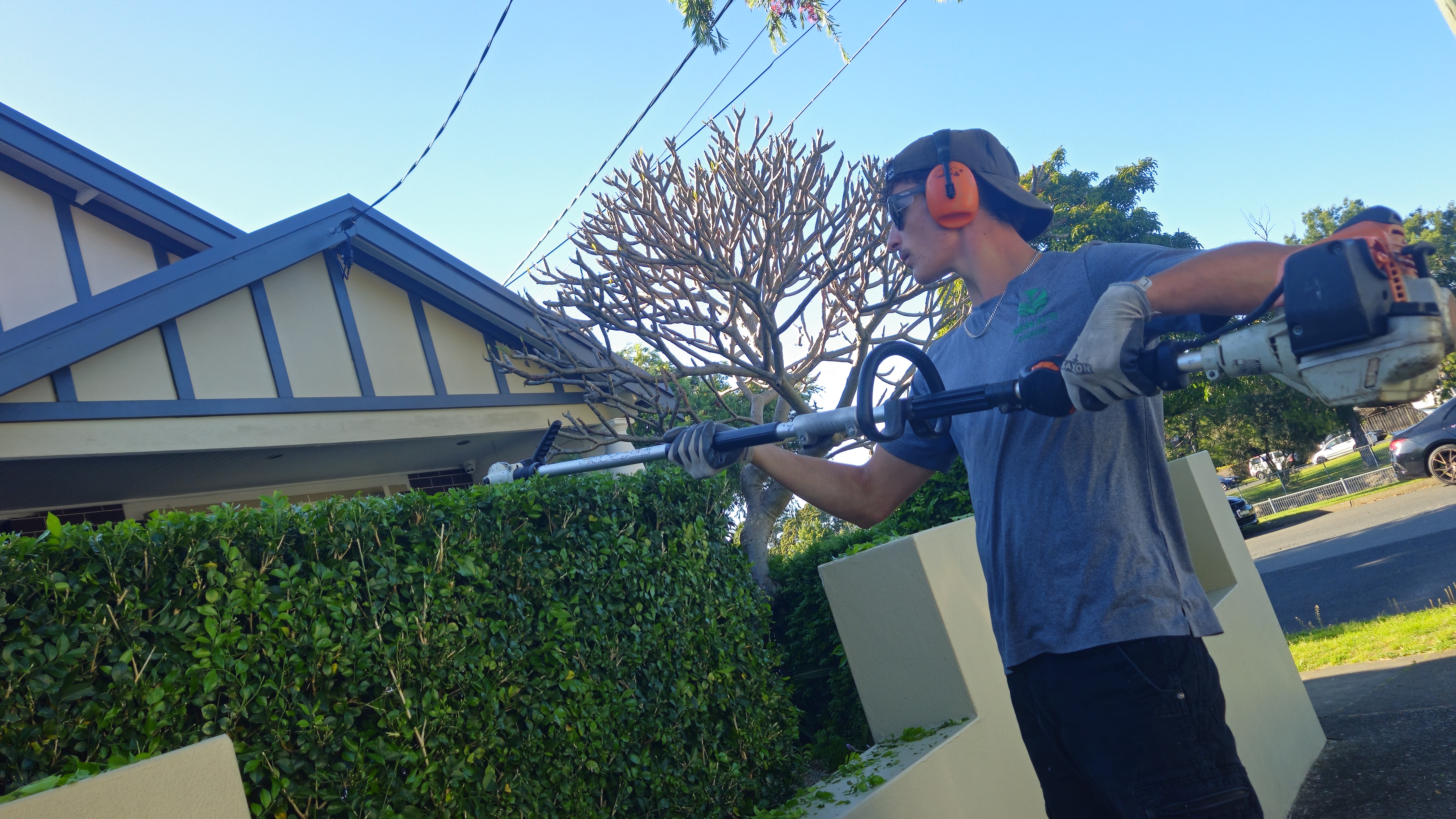 Front boundary hedge trimmed to clean lines — Five Dock, Inner West