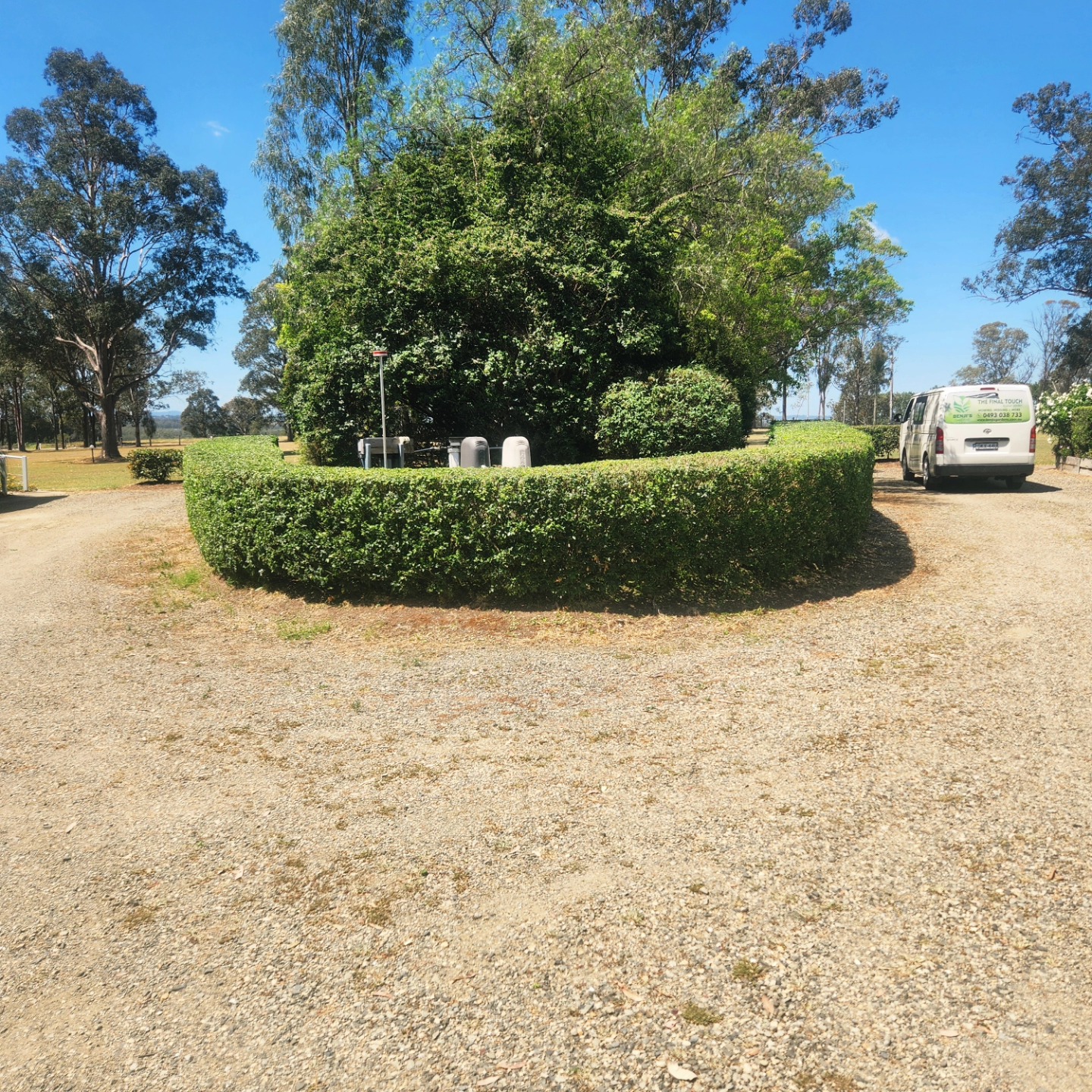 Circular hedge around a tree in paddock — Hills District