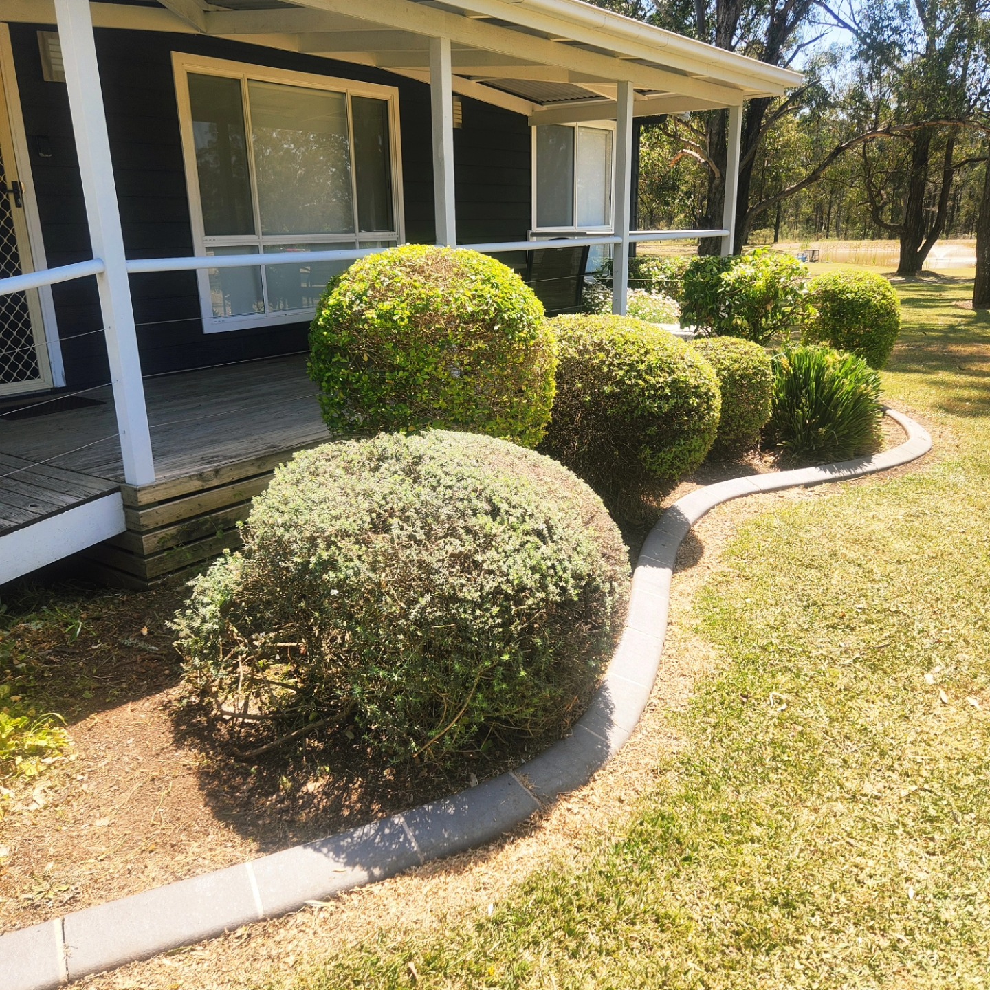 Sphere topiary detail — Hills District acreage