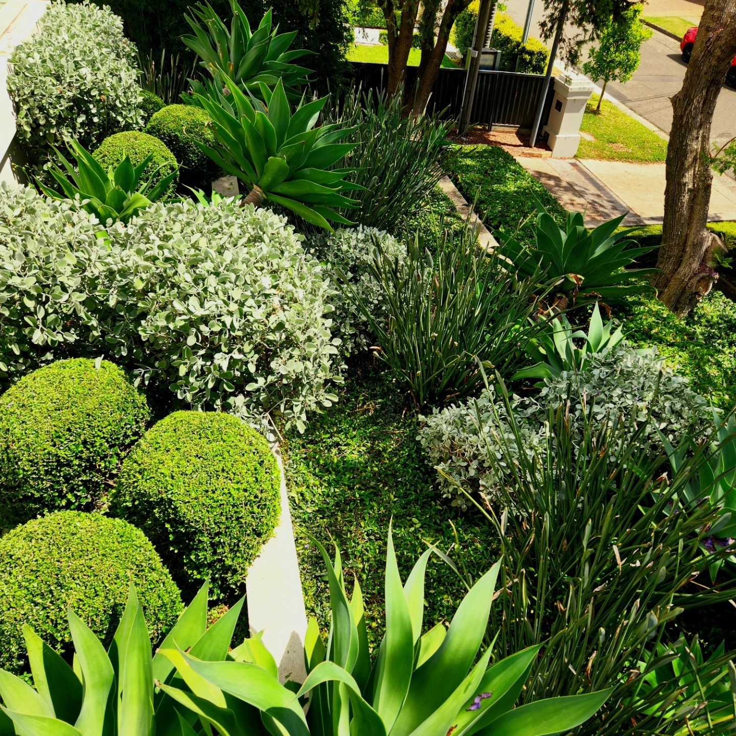 Garden Maintenance
