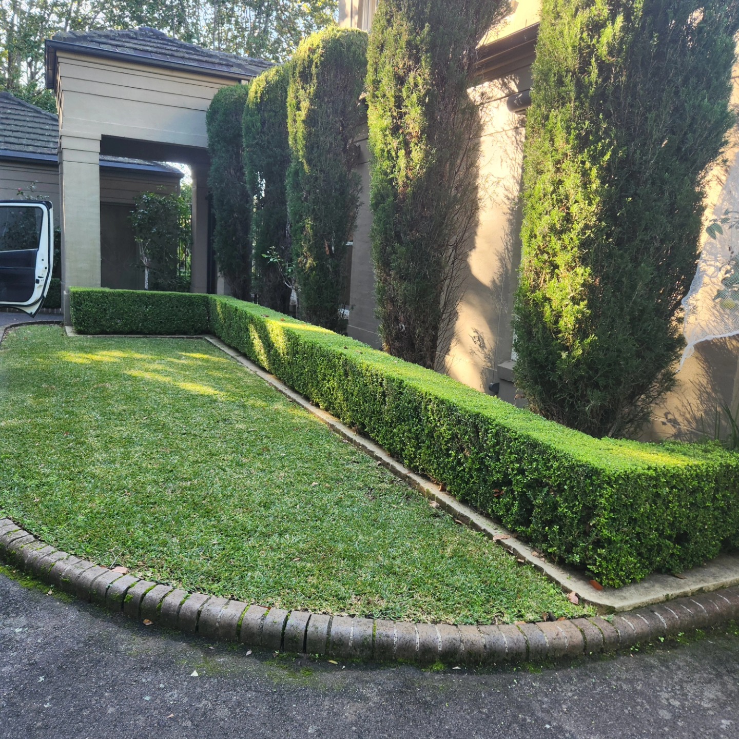 Hedge Trimming & Shaping