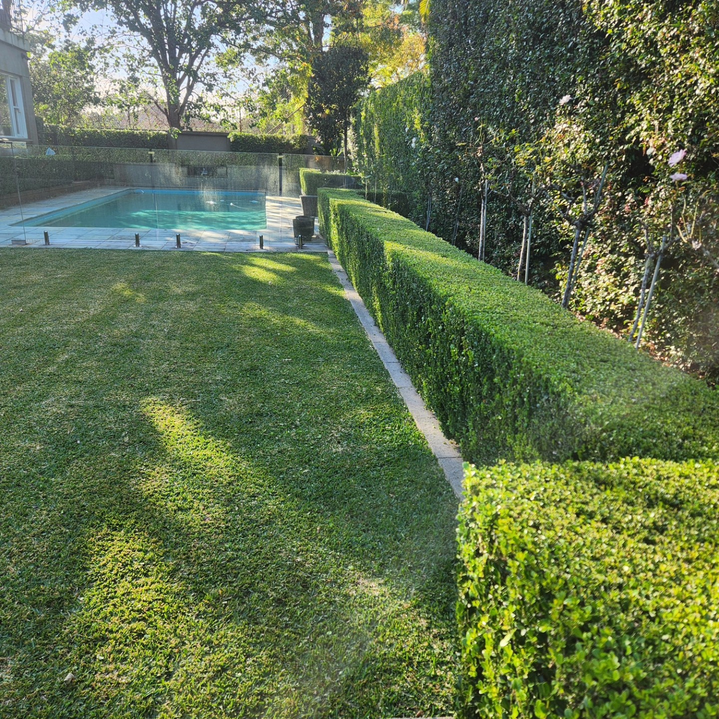 Immaculate leighton green hedge wall at an Upper North Shore estate — Benji's Gardens