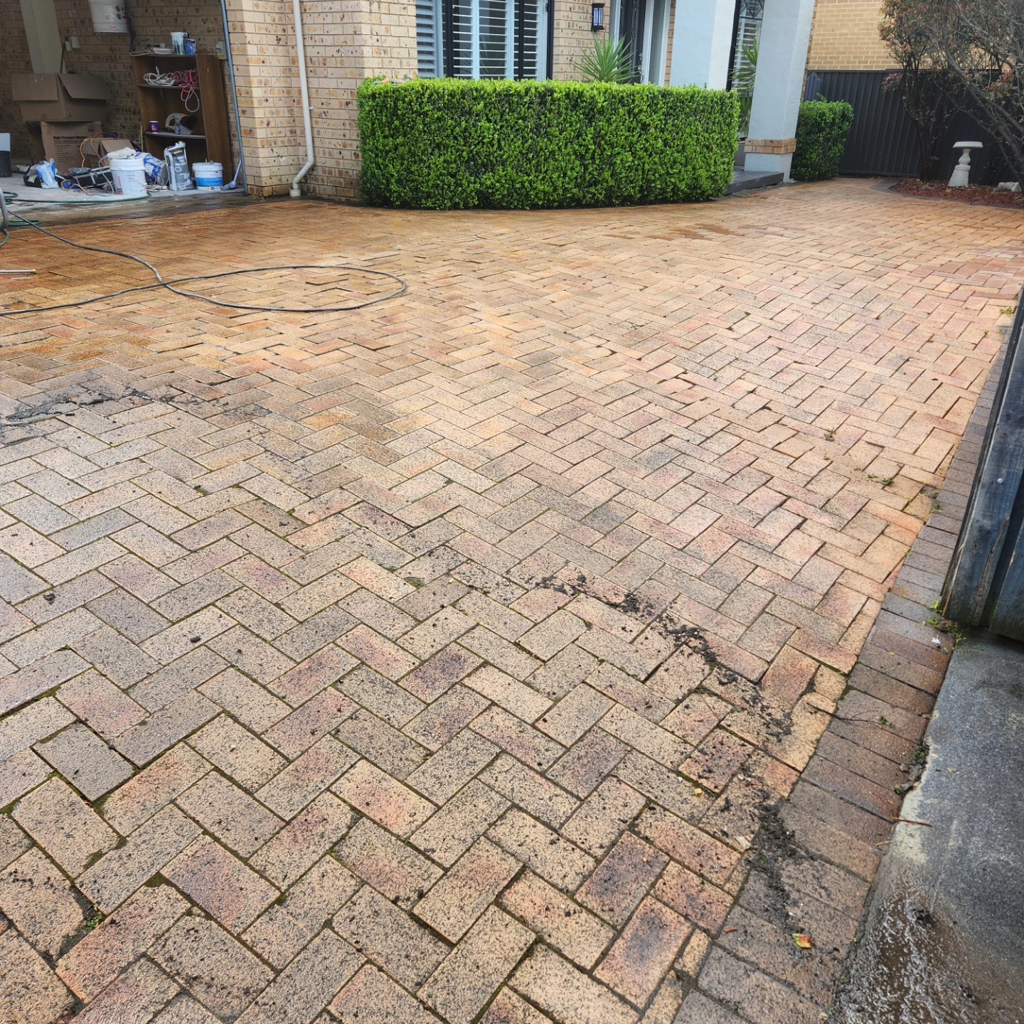 Overgrown side path before cleaning — Sydney